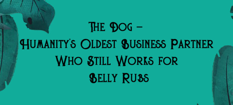 The Dog - Humanity's Oldest Business Partner Who Still Works for Belly Rubs