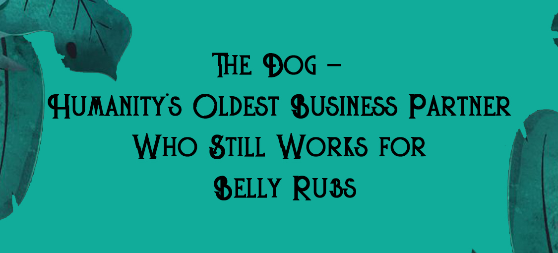 The Dog – Humanity’s Oldest Business Partner Who Still Works for Belly Rubs